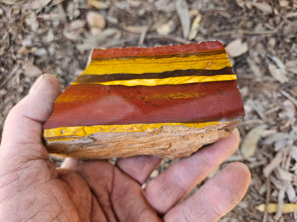 Polished Desert Sunset DS206