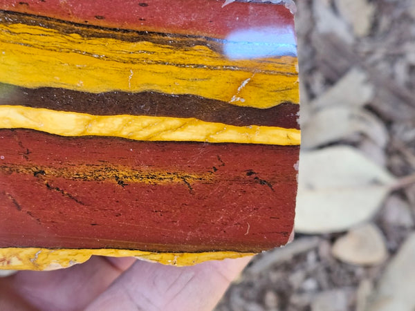 Polished Desert Sunset DS206