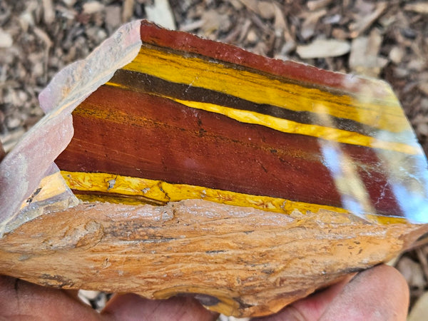 Polished Desert Sunset DS206