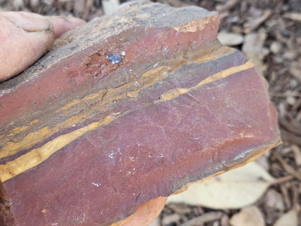 Polished Desert Sunset DS206