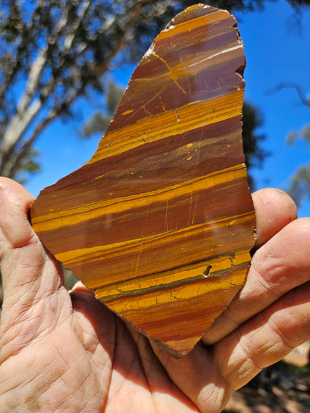 Polished Desert Sunset slab DS203