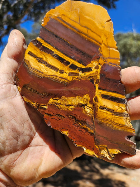 Polished Desert Sunset slab DS204