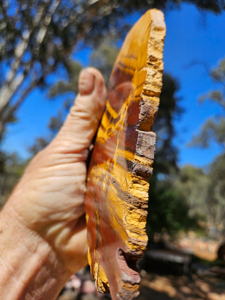 Polished Desert Sunset slab DS204