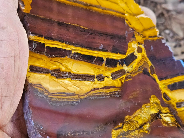 Polished Desert Sunset slab DS204