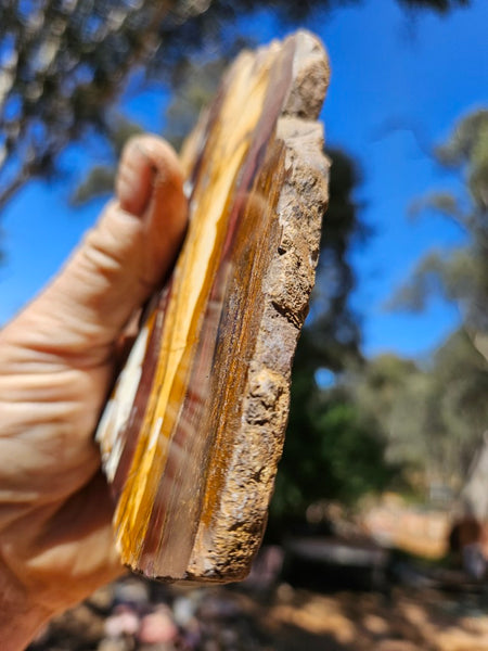 Polished Desert Sunset slab DS205