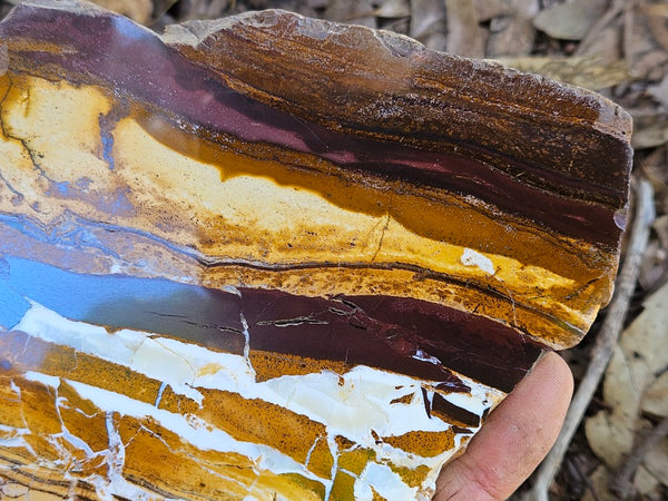 Polished Desert Sunset slab DS205