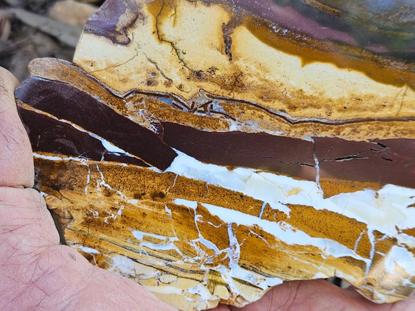 Polished Desert Sunset slab DS205