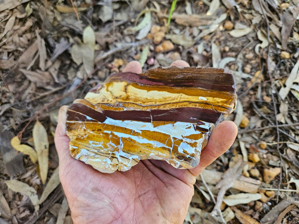 Polished Desert Sunset slab DS205