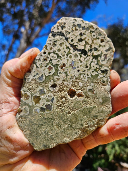 Polished Rainforest Jasper RFJ156