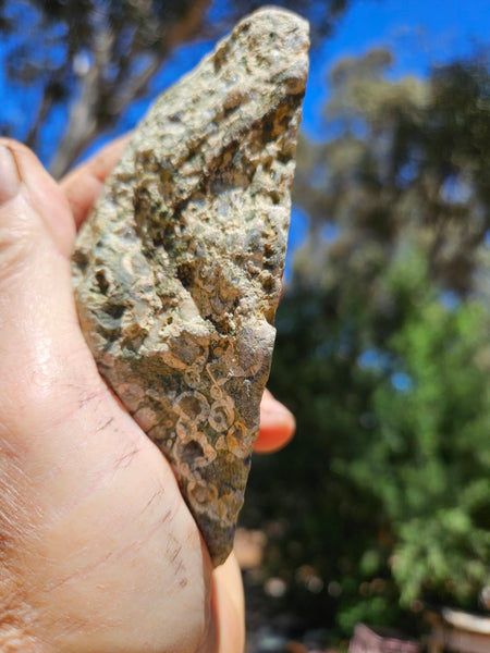 Polished Rainforest Jasper RFJ156