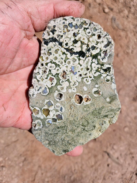 Polished Rainforest Jasper RFJ156