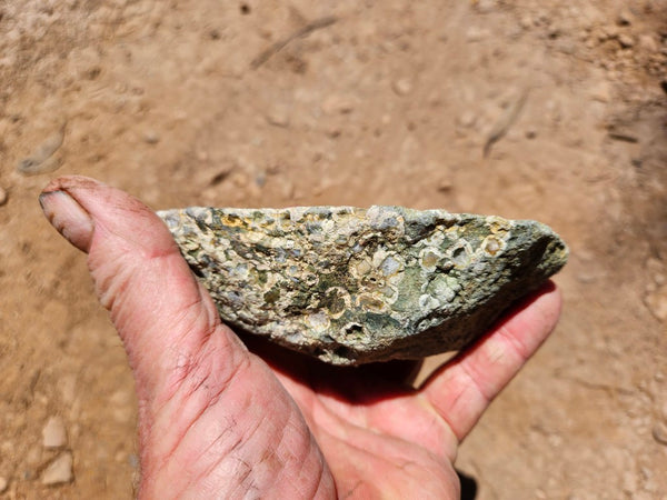 Polished Rainforest Jasper RFJ156