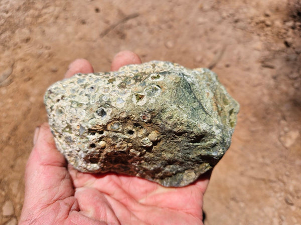 Polished Rainforest Jasper RFJ156