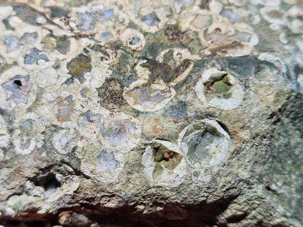 Polished Rainforest Jasper RFJ156