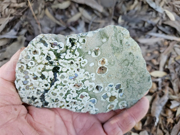 Polished Rainforest Jasper RFJ156