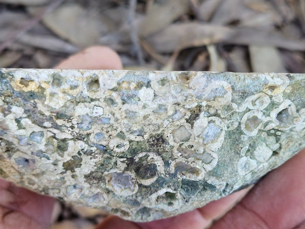 Polished Rainforest Jasper RFJ156