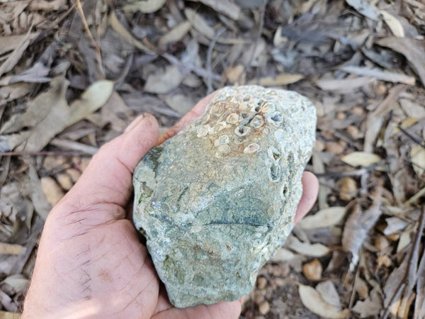 Polished Rainforest Jasper RFJ156