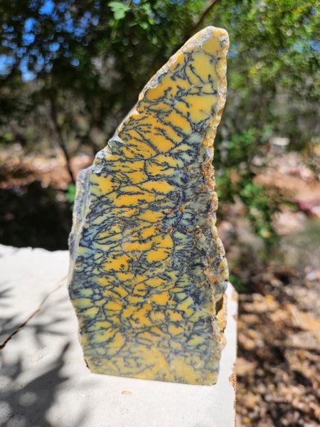Polished Dendritic Opal DO234