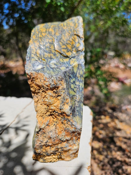 Polished Dendritic Opal DO234