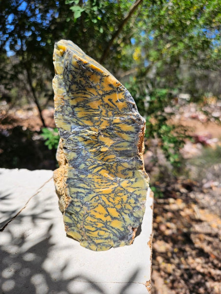 Polished Dendritic Opal DO234