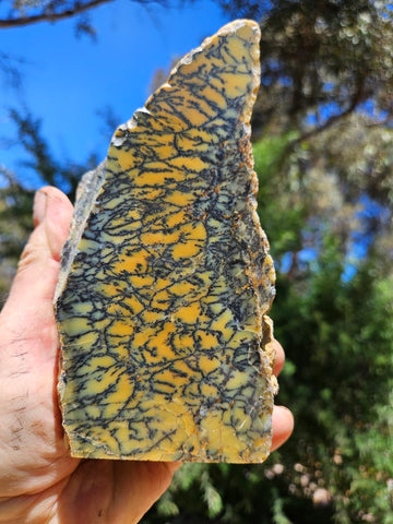 Polished Dendritic Opal DO234