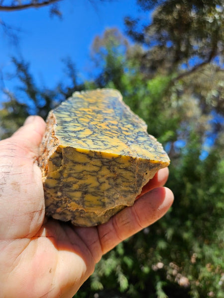 Polished Dendritic Opal DO234