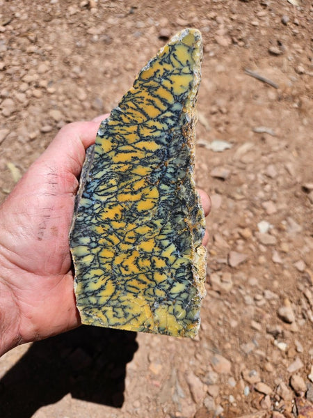 Polished Dendritic Opal DO234