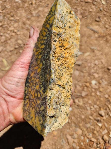 Polished Dendritic Opal DO234