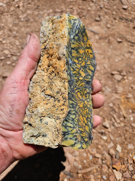 Polished Dendritic Opal DO234