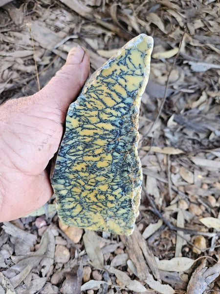 Polished Dendritic Opal DO234