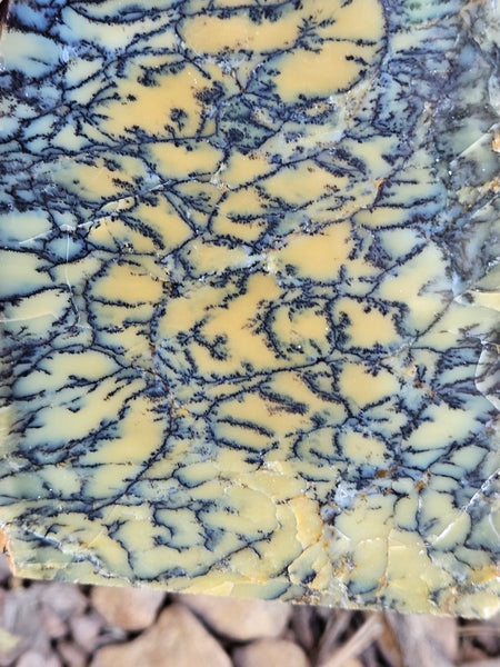 Polished Dendritic Opal DO234