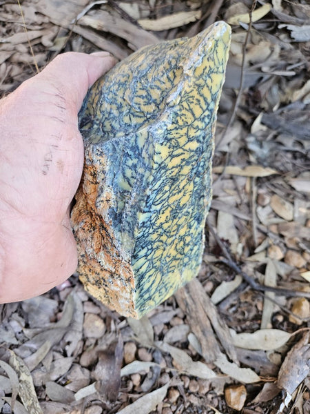 Polished Dendritic Opal DO234