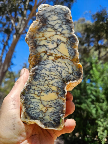 Polished Dendritic Opal DO233
