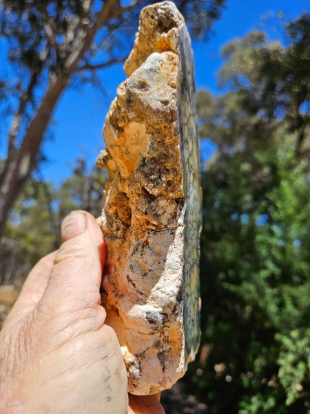 Polished Dendritic Opal DO233
