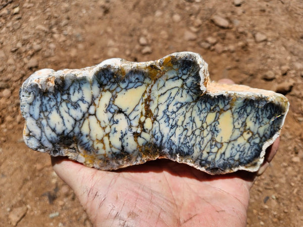 Polished Dendritic Opal DO233