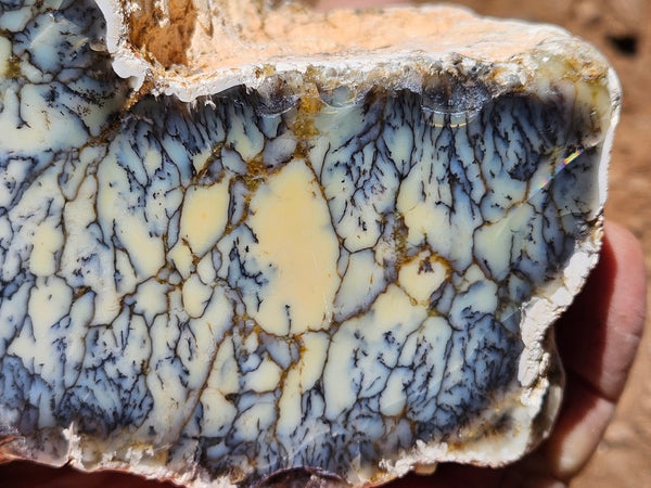 Polished Dendritic Opal DO233