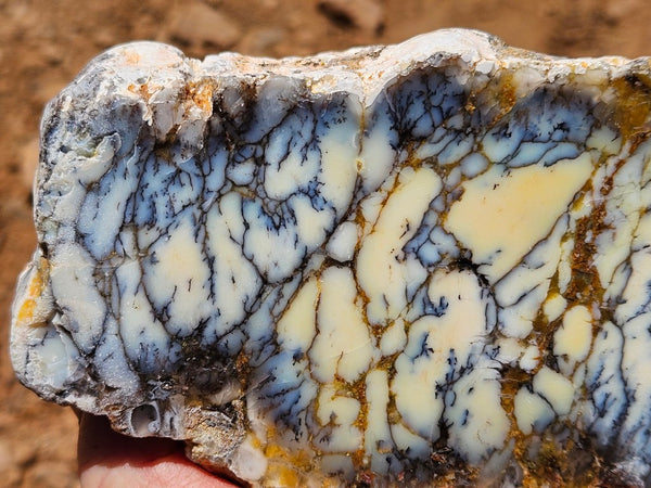 Polished Dendritic Opal DO233