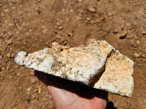 Polished Dendritic Opal DO233