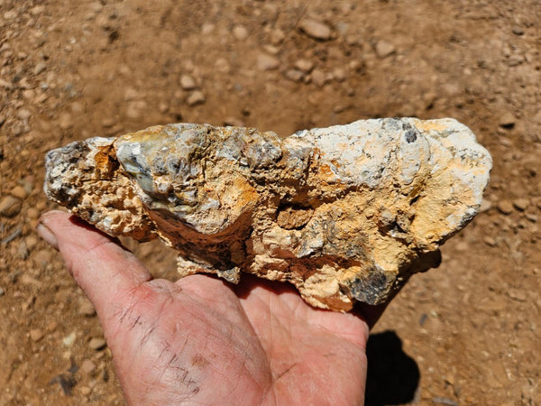 Polished Dendritic Opal DO233