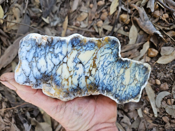 Polished Dendritic Opal DO233