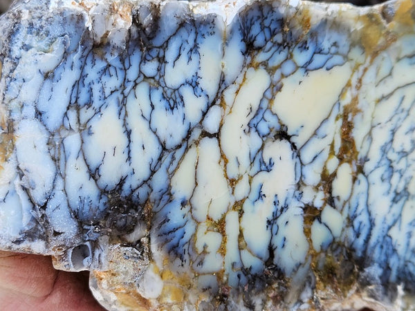 Polished Dendritic Opal DO233