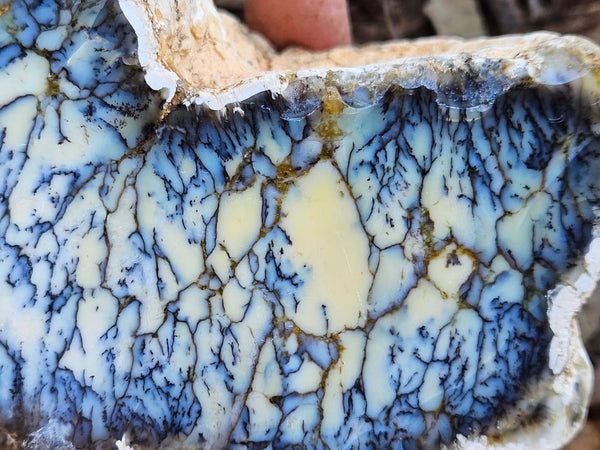 Polished Dendritic Opal DO233