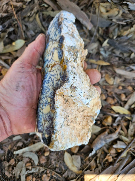 Polished Dendritic Opal DO233