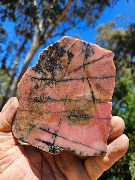 Polished Rhodonite slab RH306