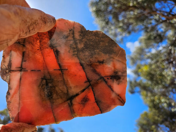 Polished Rhodonite slab RH306