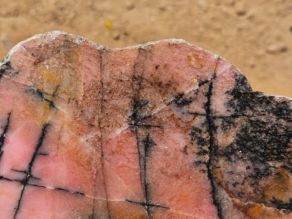 Polished Rhodonite slab RH306