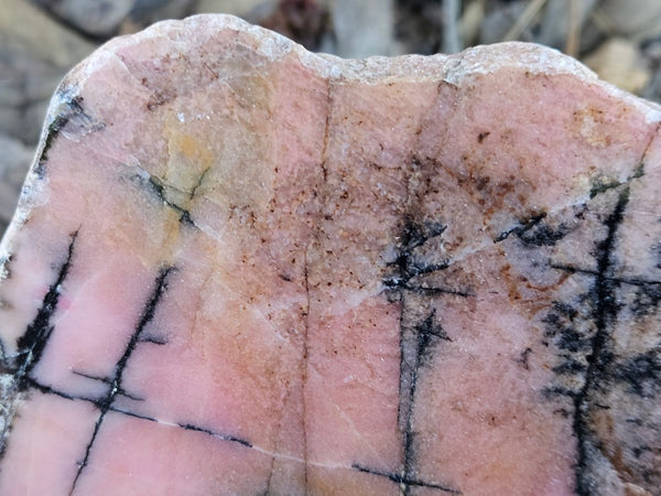 Polished Rhodonite slab RH306