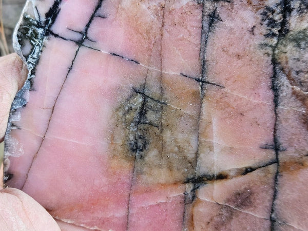 Polished Rhodonite slab RH306