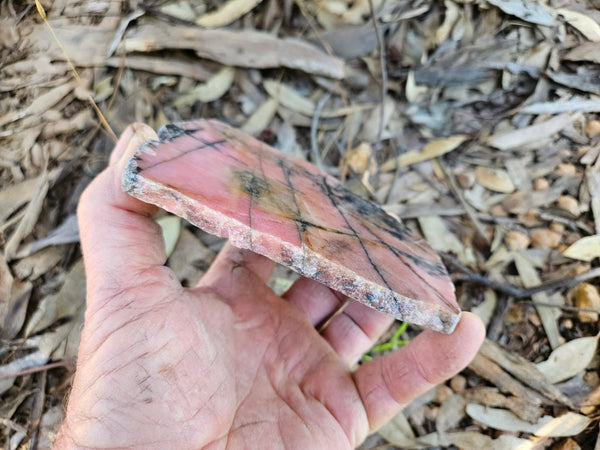 Polished Rhodonite slab RH306