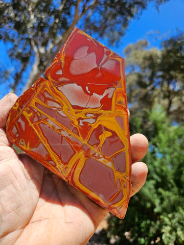 Polished Noreena Jasper slab. NJ493